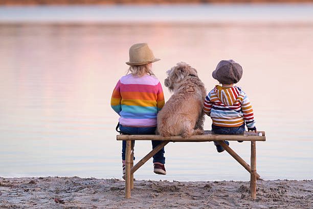 Zwei Kinder und ein Hund sitzen auf einer Bank am Wasser, schauen in den Sonnenuntergang.